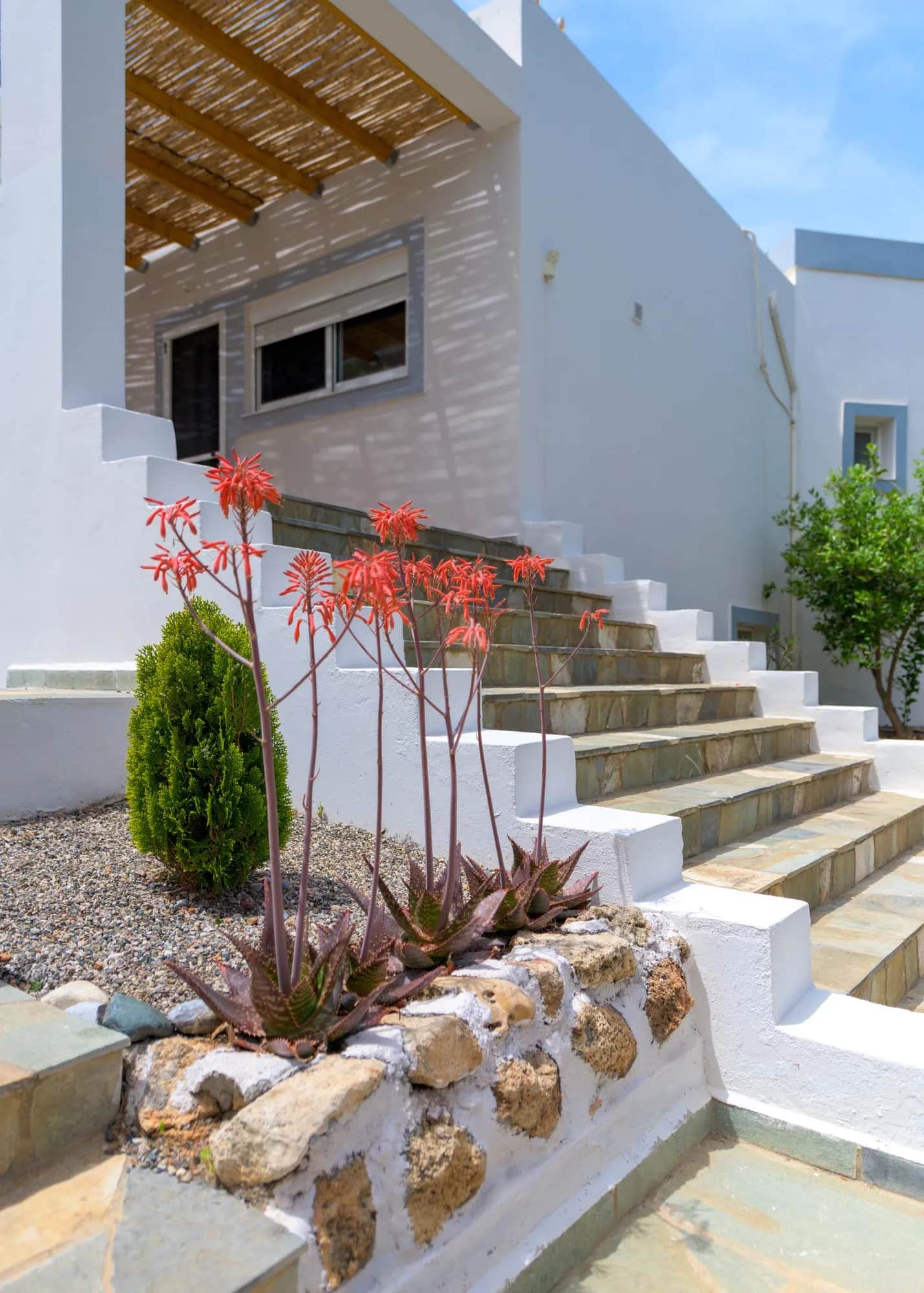 Evelyn Villa Peukous — photo 4