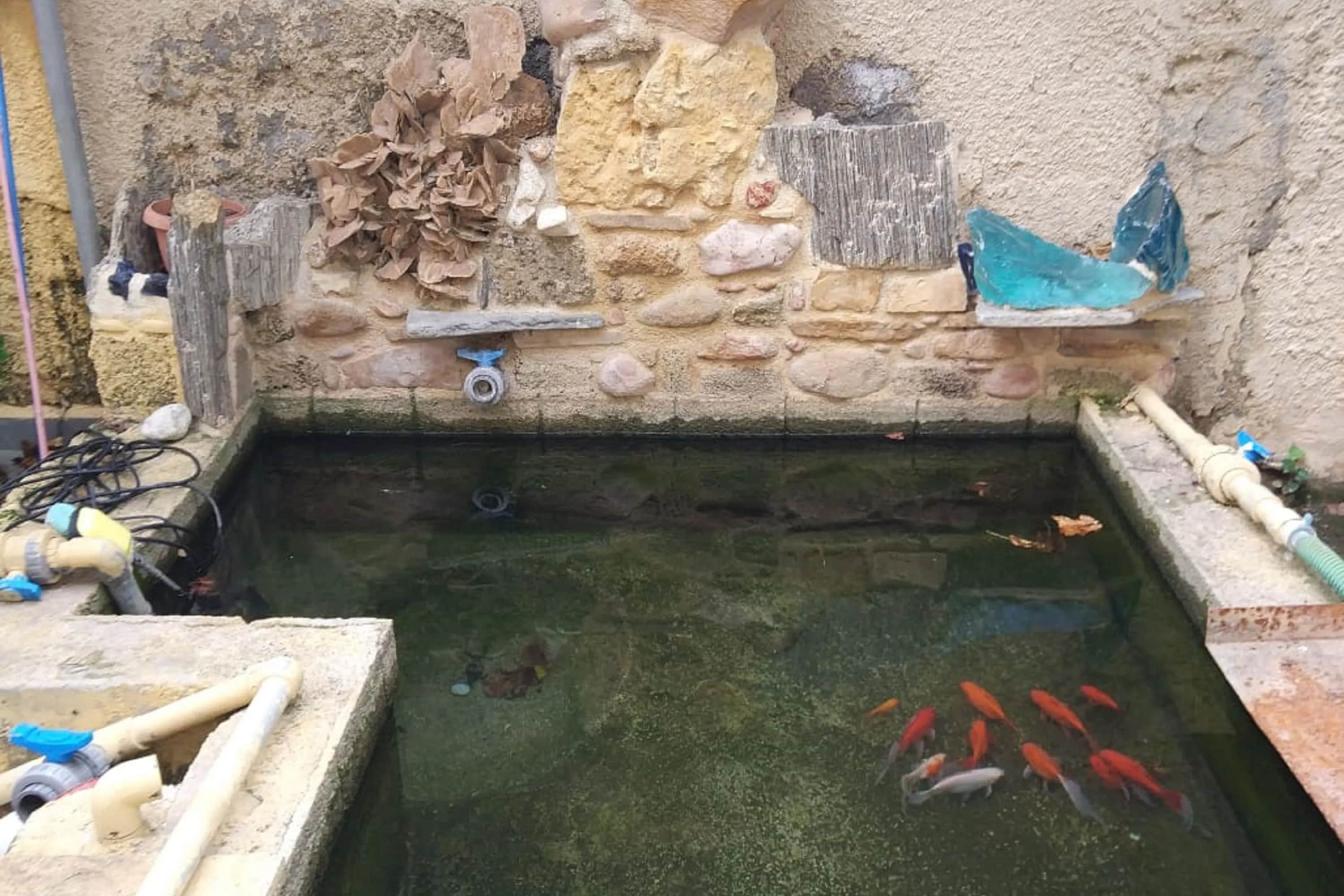 Garden House Elli Beach (2min) — photo 2
