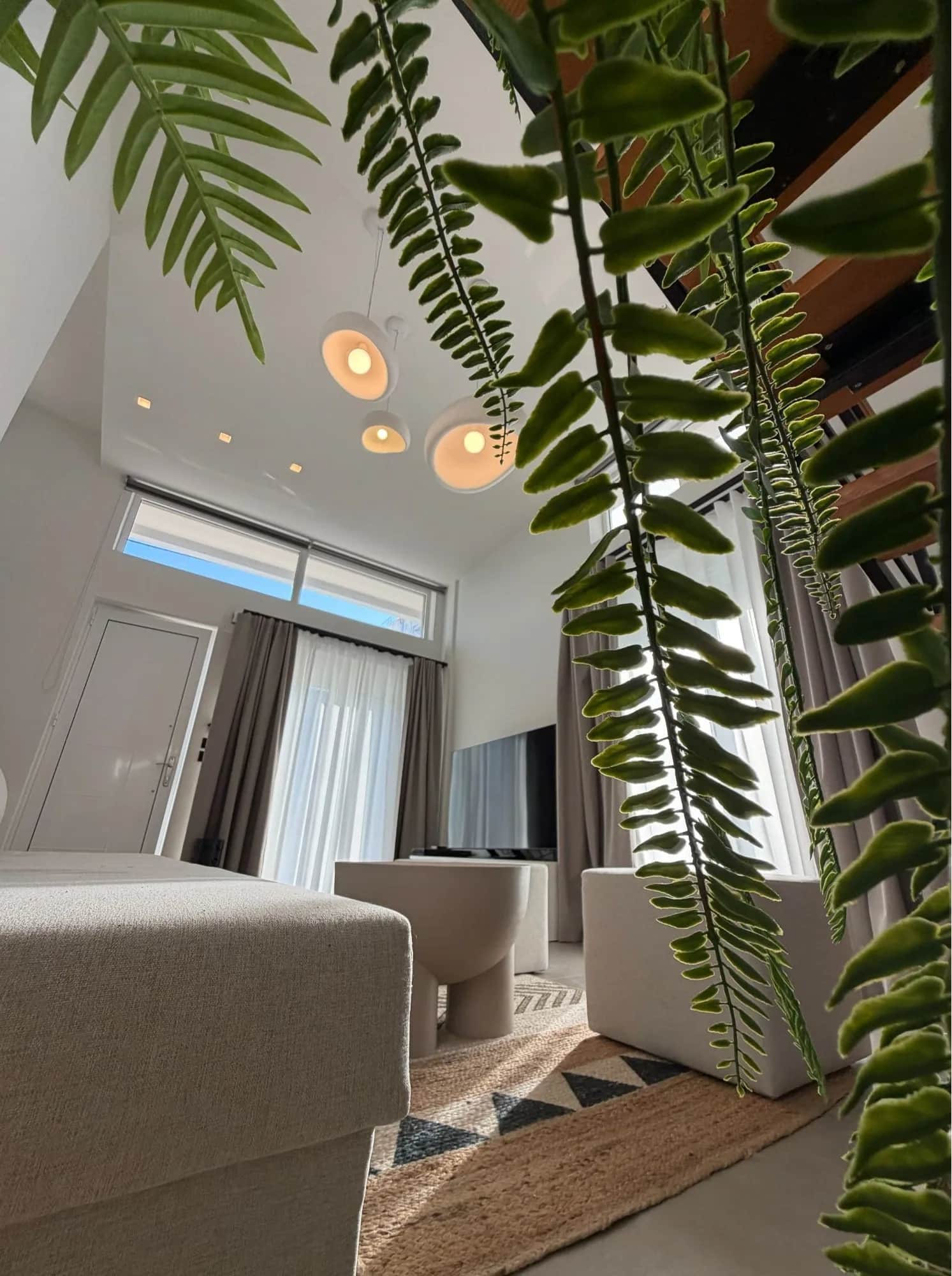 Casa Sentido — photo 4