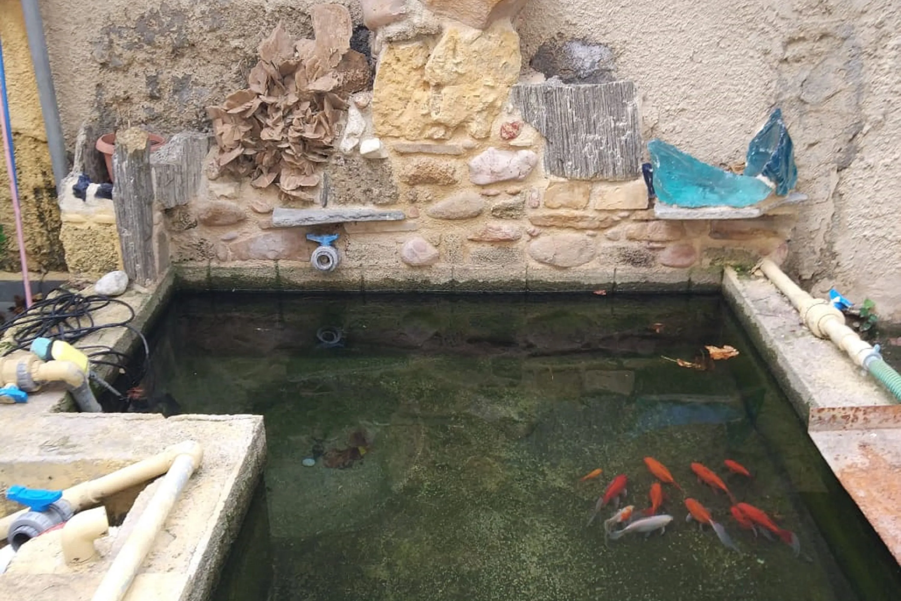 Garden House Elli Beach (2min) — photo 2