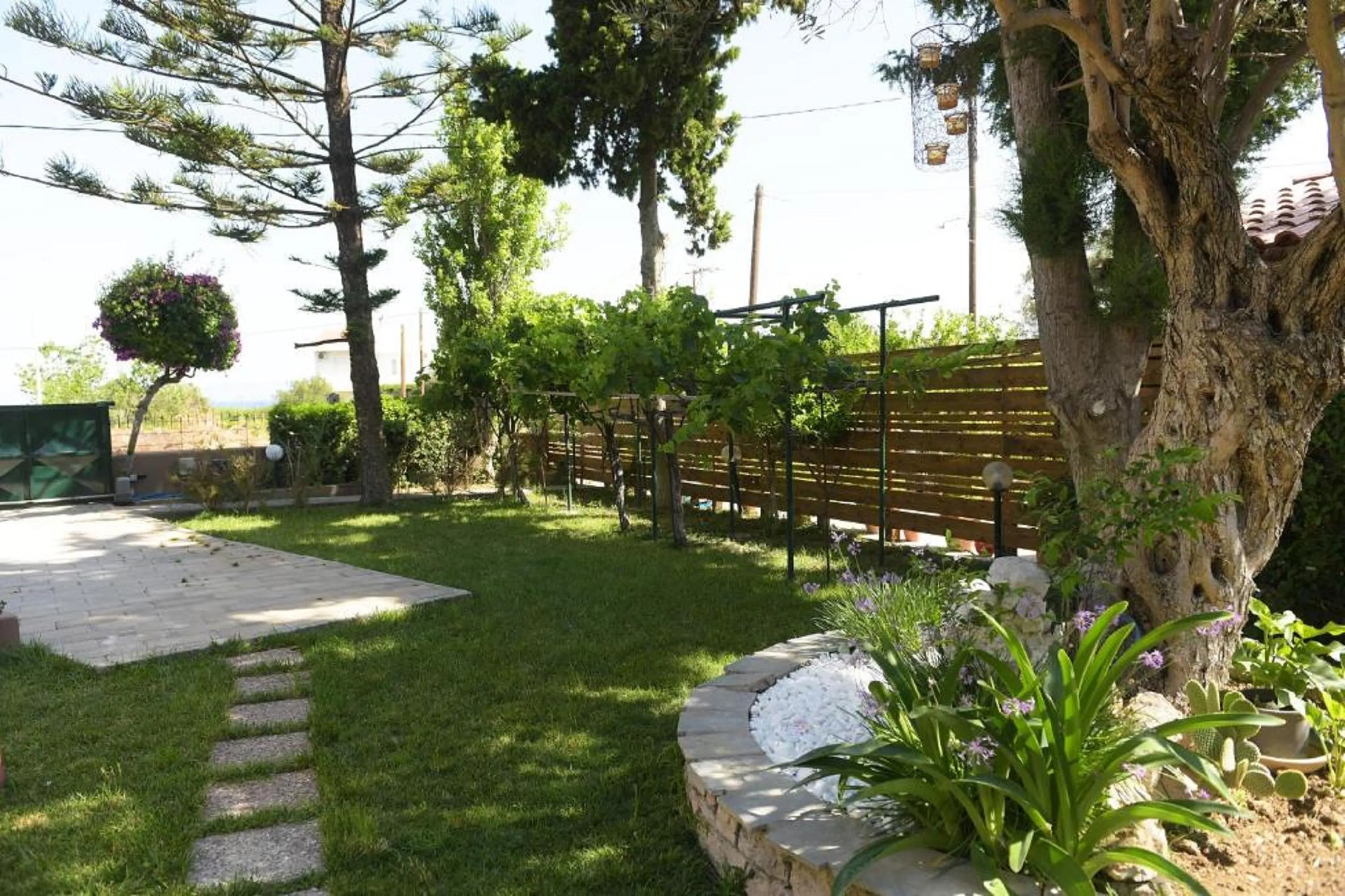 Kiparisia Villa — photo 4